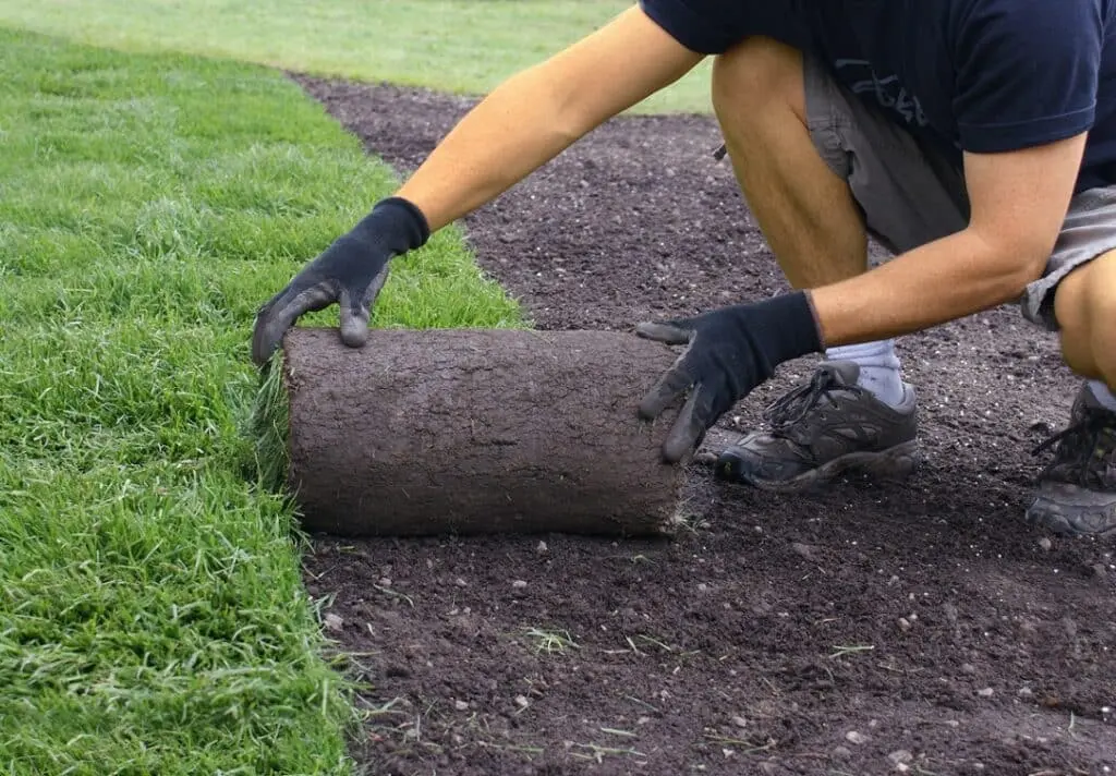 https://www.checkatrade.com/blog/wp-content/uploads/2024/02/landscape-gardener-laying-turf-1024x712.jpeg