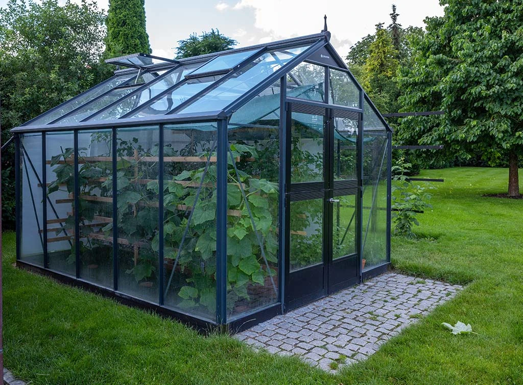 https://www.checkatrade.com/blog/wp-content/uploads/2023/10/greenhouse-services.jpg