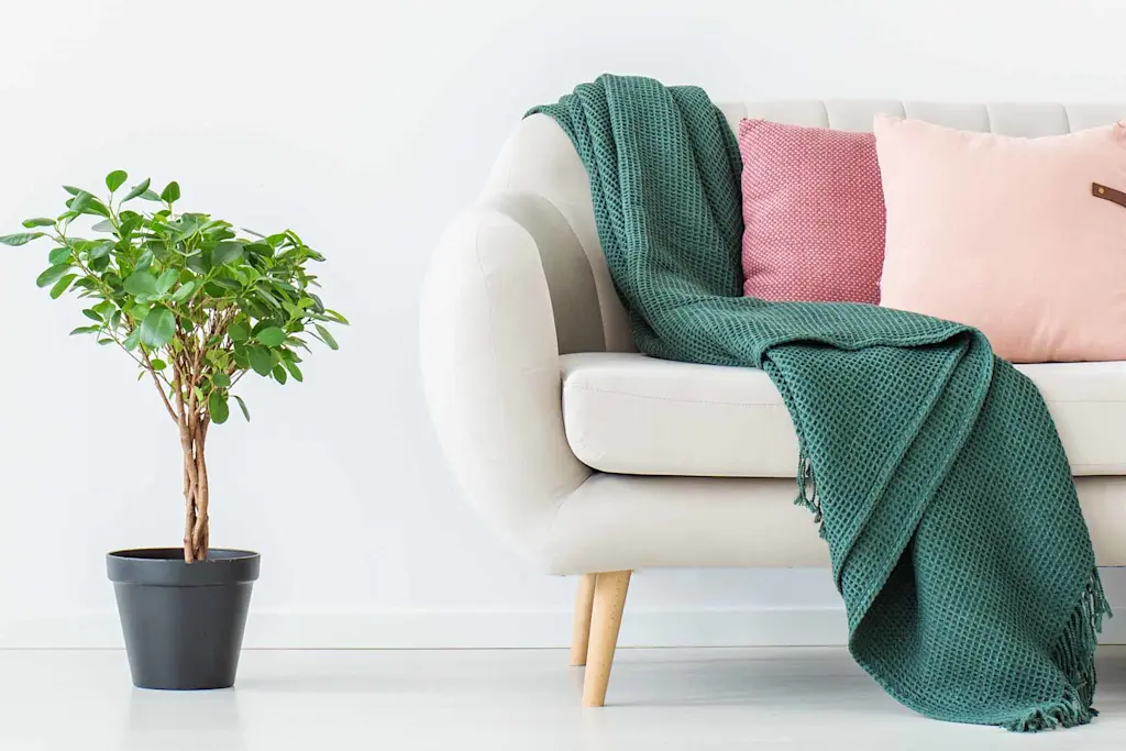 How to fix a sagging sofa