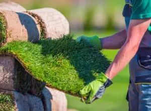 garden renovation cost