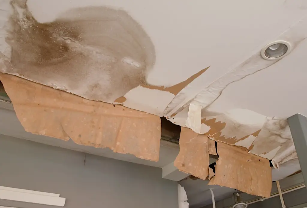 Water damage restoration needed