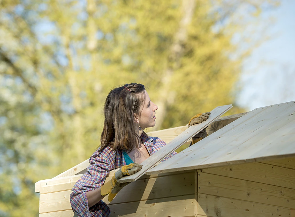 Building a shed roof