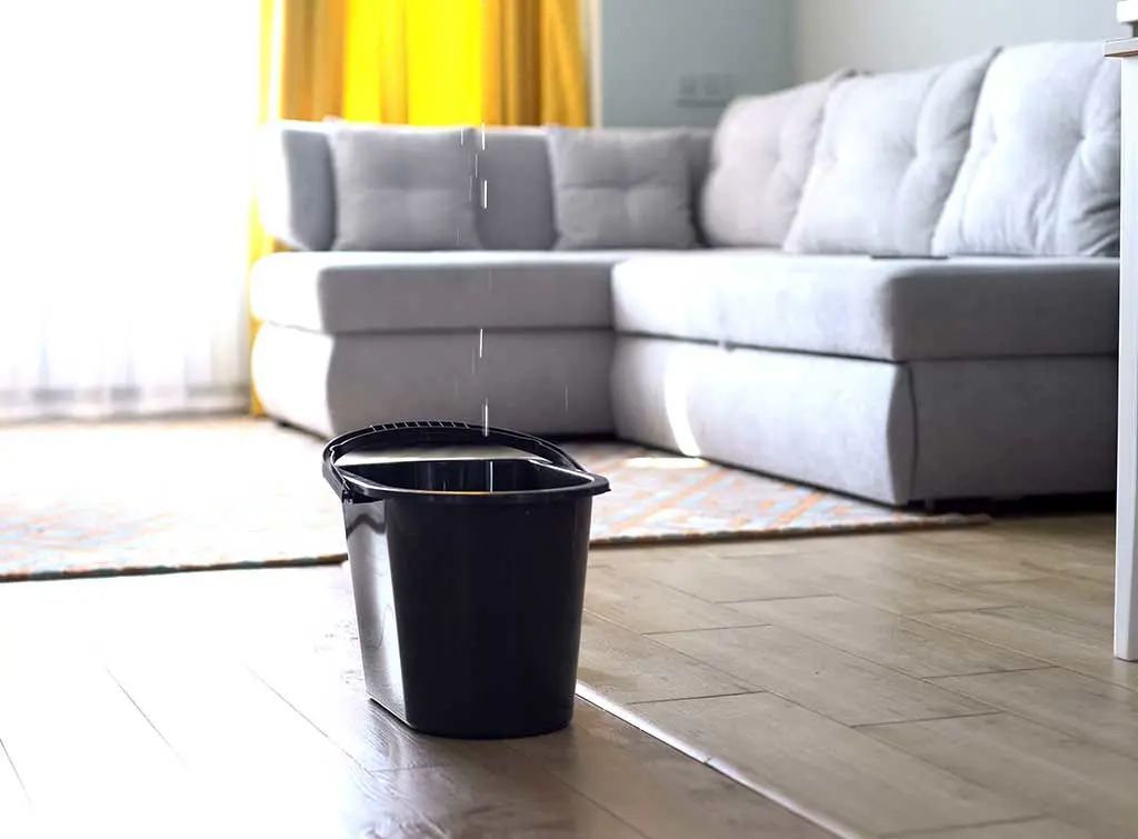 prevent water damage catch leaks