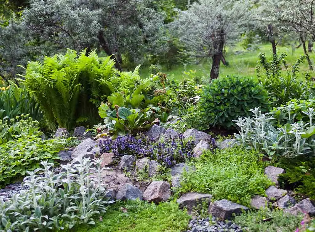 Rock garden ideas