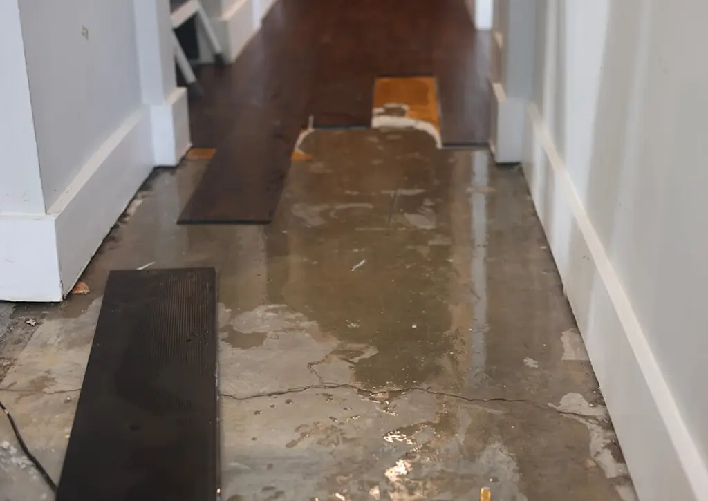 New flooring required due to flood