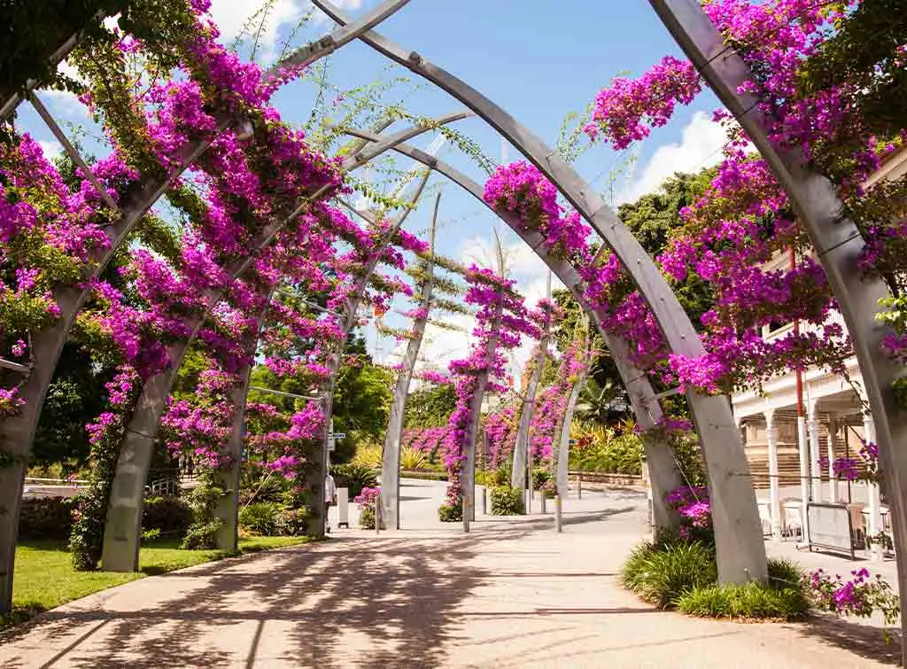 Artistic eco-friendly garden ideas