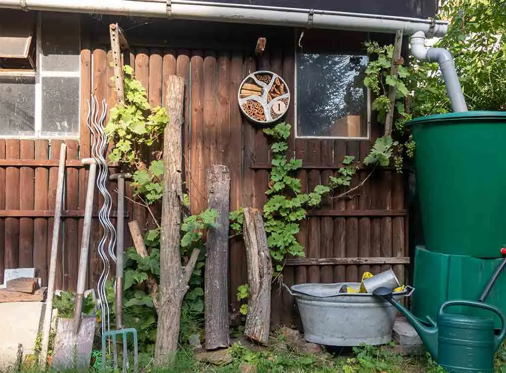 Reduce waste in an eco-friendly garden