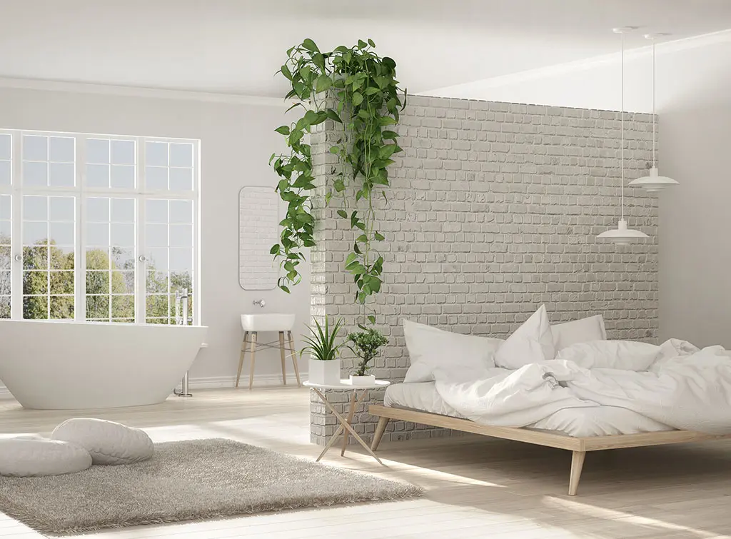 bathtub in feature bedroom ideas