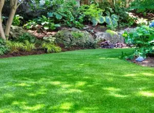 A shady north facing garden