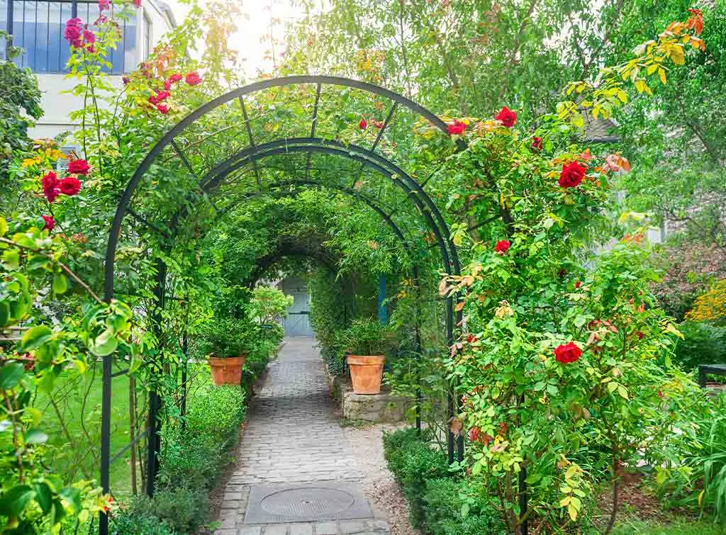 arch garden privacy idea