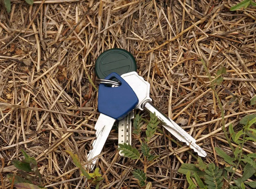 Find car key replacement companies near me