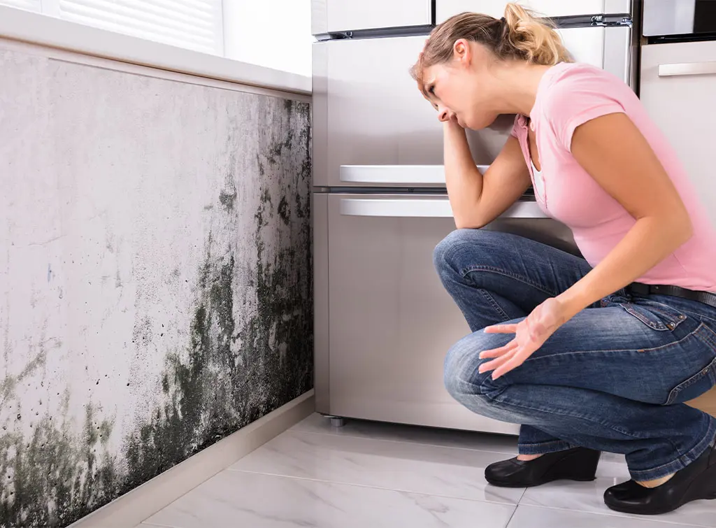 https://www.checkatrade.com/blog/wp-content/uploads/2020/07/Mould-removal-issues-and-methods-to-remove.jpg
