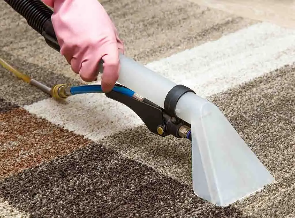 Rug cleaning service near me