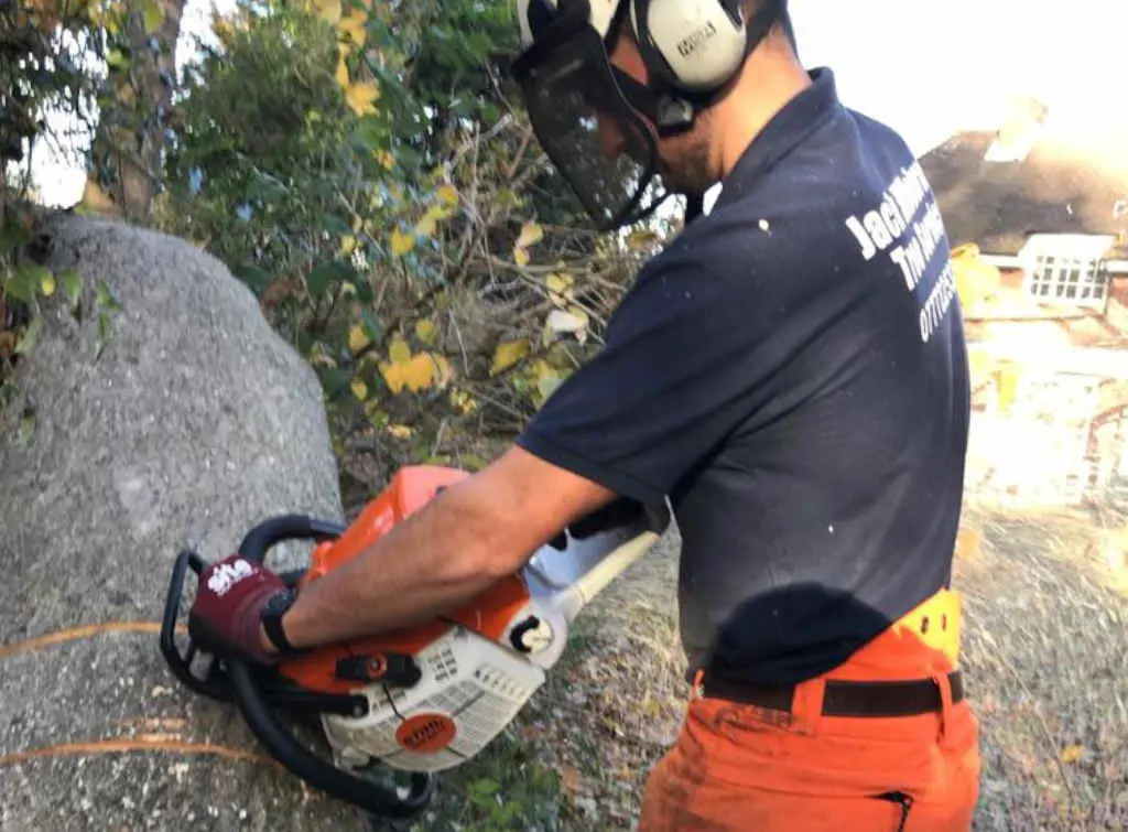 Find out how to become a tree surgeon