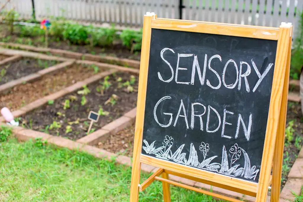 Sensory garden ideas