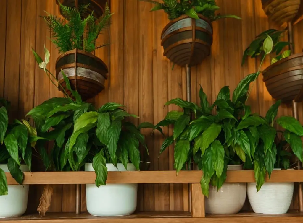 Living wall for small conservatory decor ideas