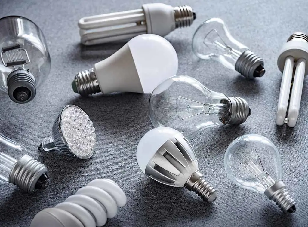 look for energy efficient light bulbs