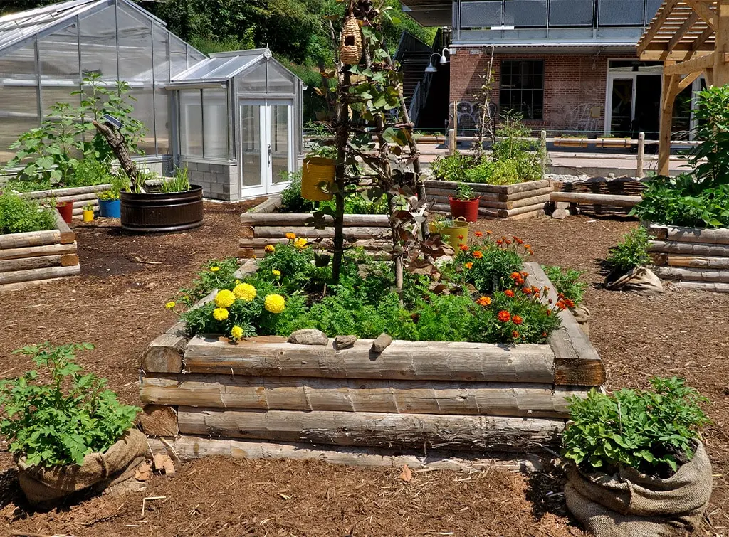 Timber garden edging ideas