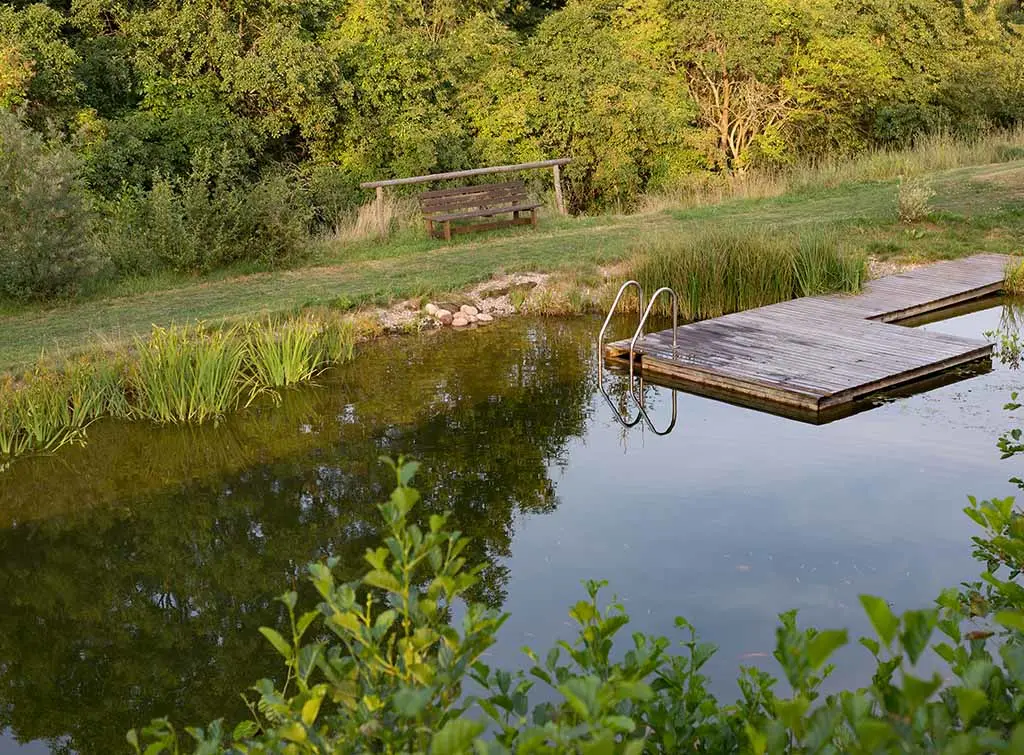 Natural swimming pool