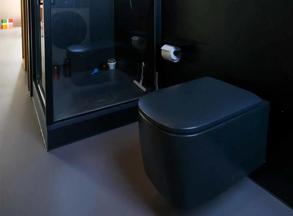 Black toilet ideas