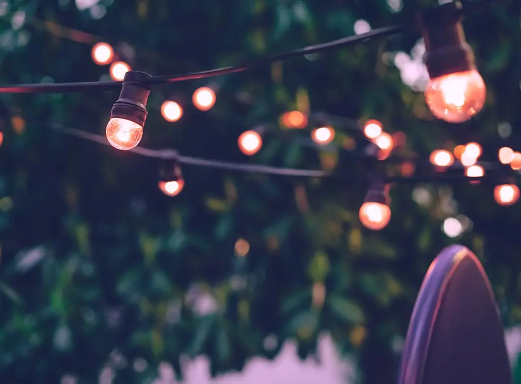 garden fairy lights