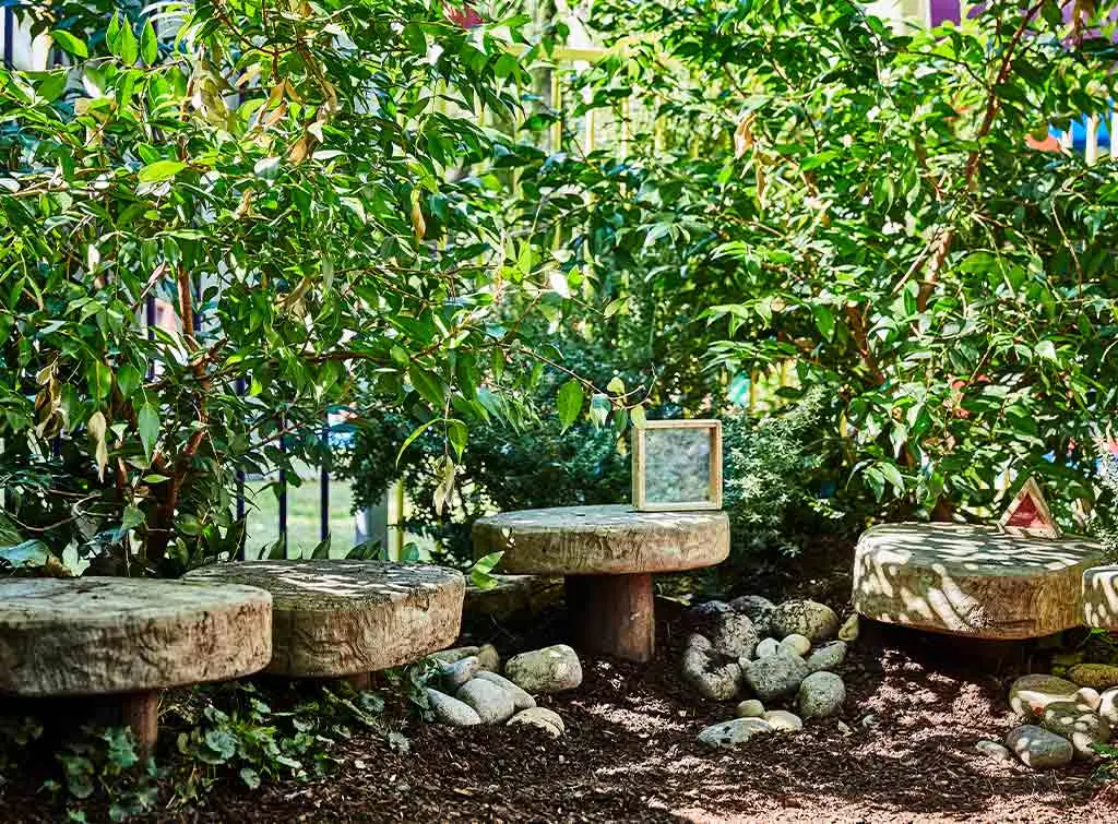 Rockery and plant patch