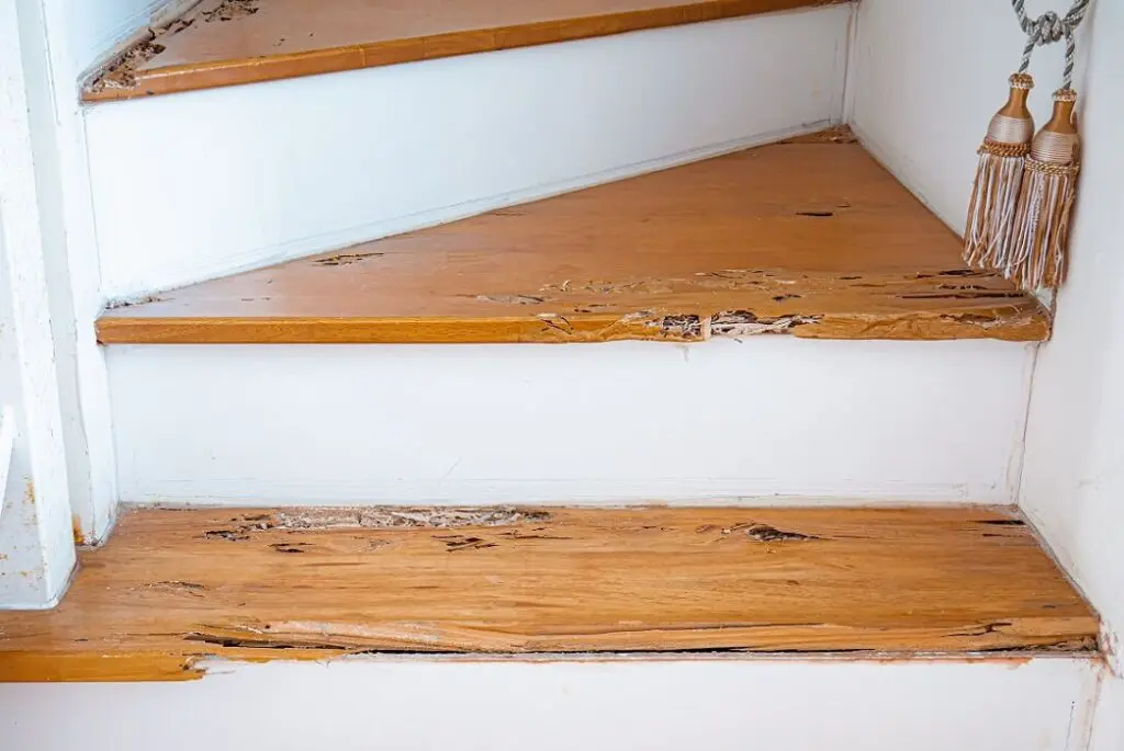 staircase damaged due to pest infestation such as woodworm