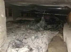 Crawl space cleaning cost