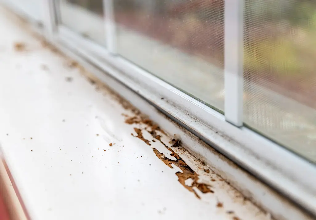 rotten-window-sill-close-up