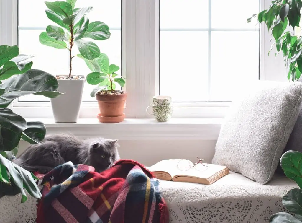 Cosy reading nook