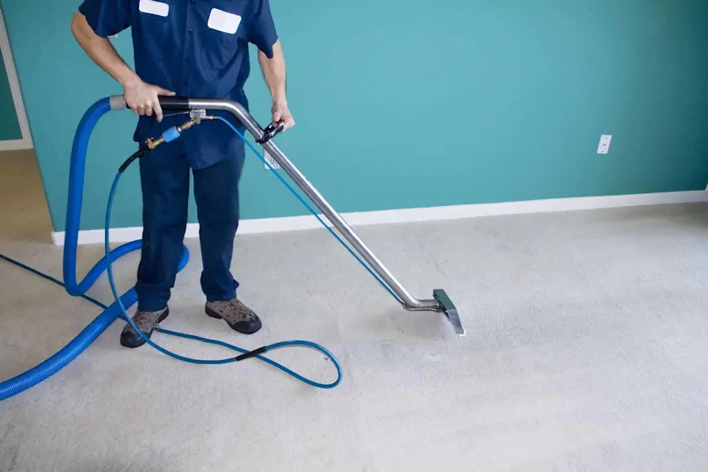 how to find carpet cleaning services near you
