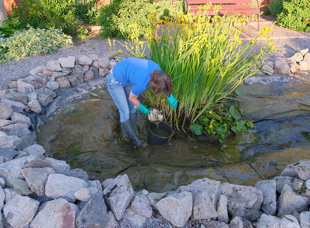 Pond maintenance near me