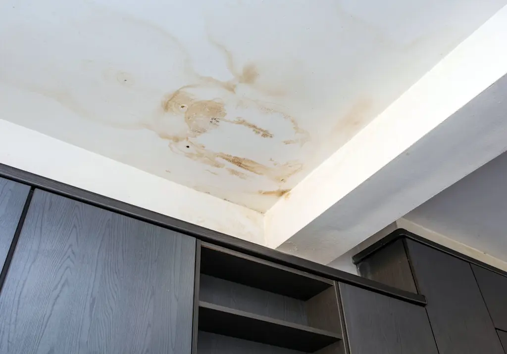 Ceiling water stain resized