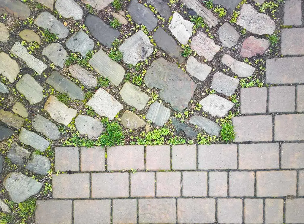Paving stones, paving slabs, and green growth for outdoor flooring