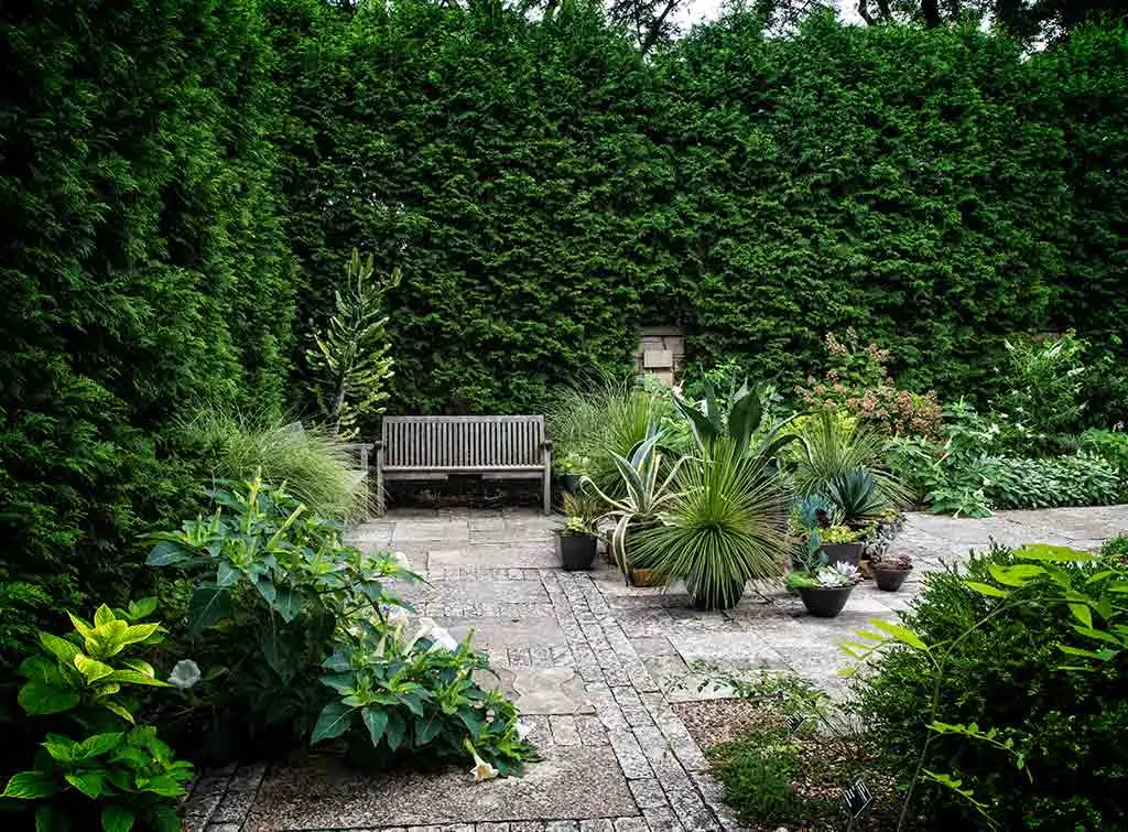 Boundary hedge removal