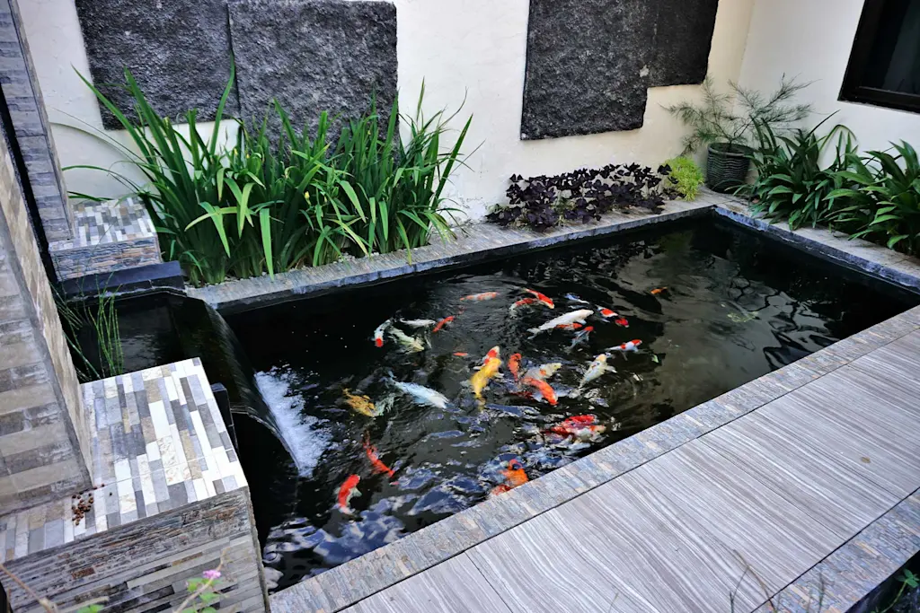 Pond servicing companies near me