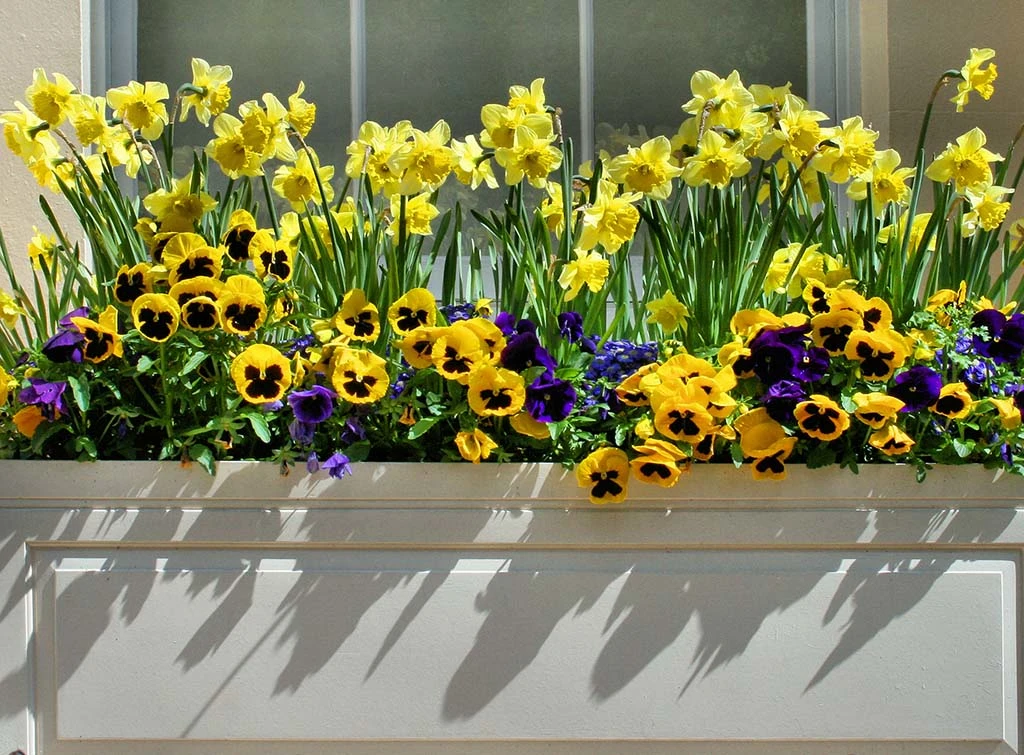 painted panelled window box