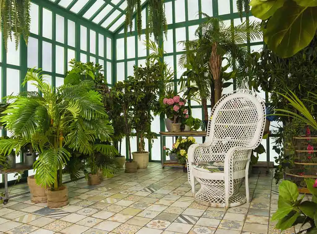 fill a small conservatory with plants