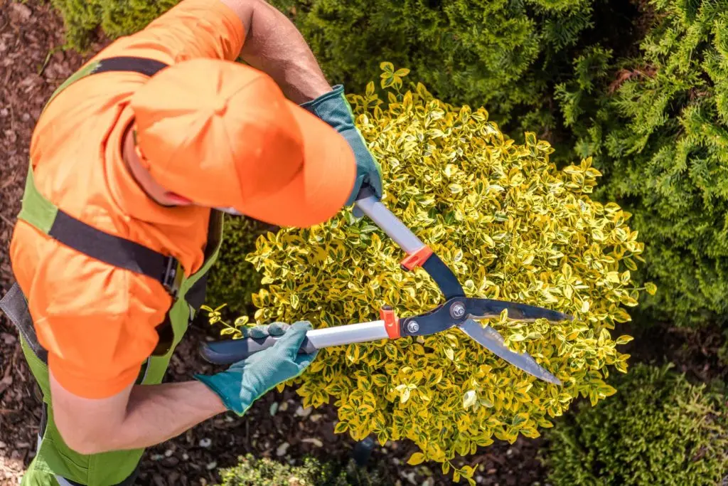https://www.checkatrade.com/blog/wp-content/uploads/2020/01/landscape-gardening-ideas-1024x683.jpg
