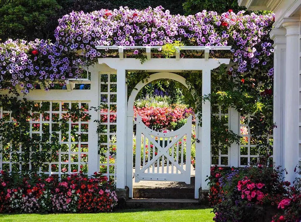 Wood fence gate ideas