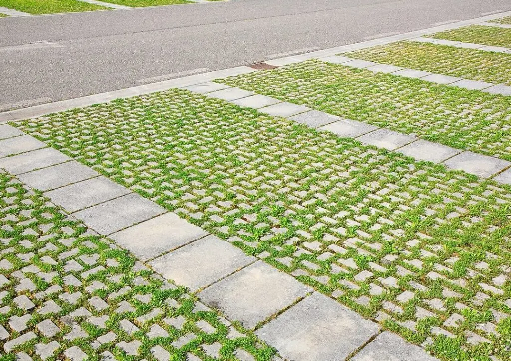 https://www.checkatrade.com/blog/wp-content/uploads/2021/01/grass-and-block-sustainable-driveway-solution-1024x725.jpeg