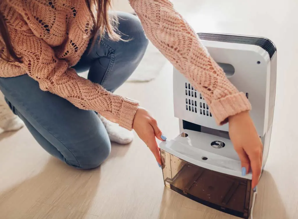 will a dehumidifier get rid of damp
