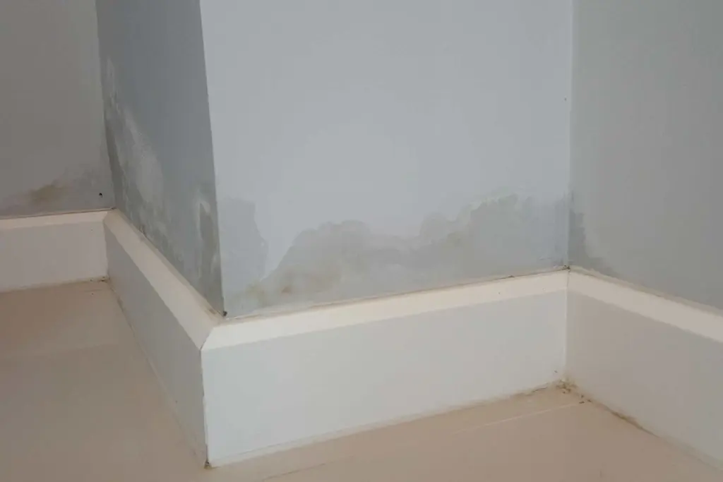 How to treat damp walls internally