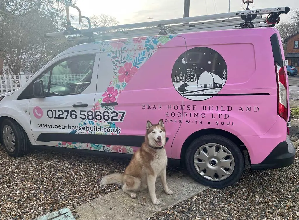 Bear House and Build Husky