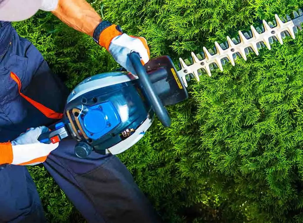 Local hedge trimming