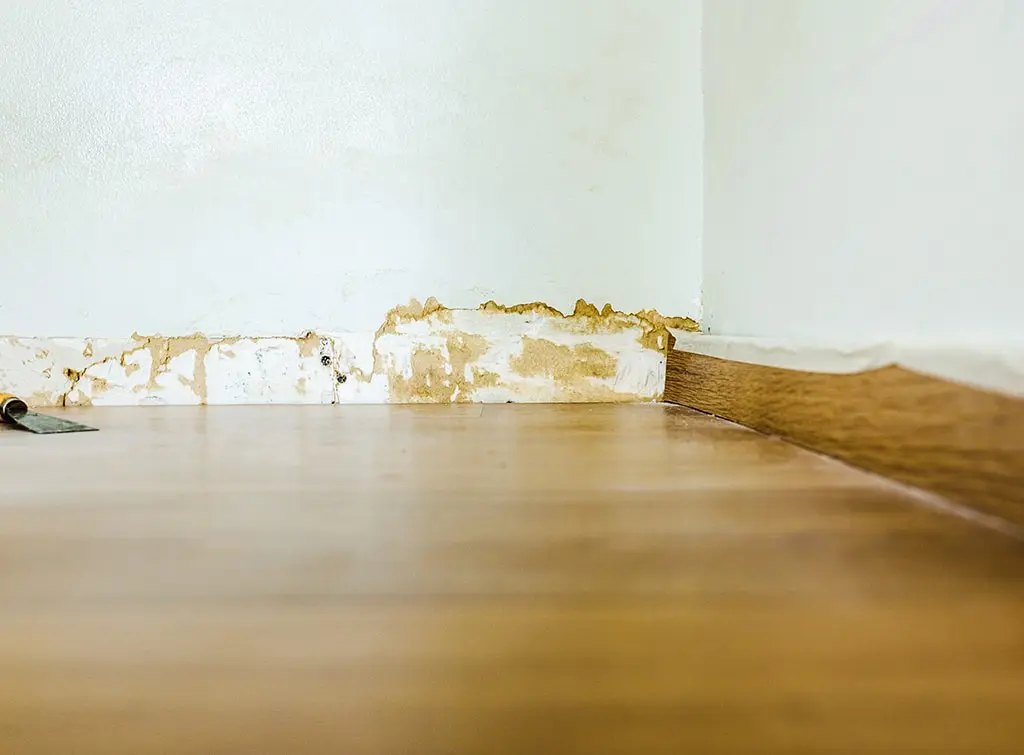 Removing skirting board too quickly