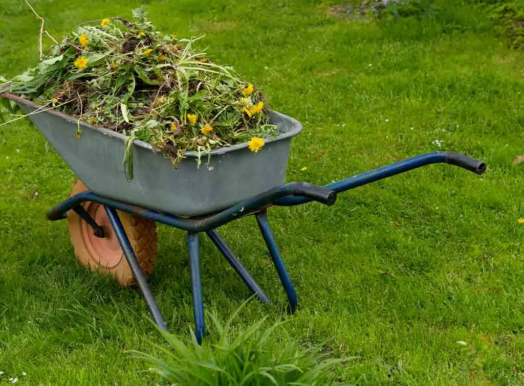 https://www.checkatrade.com/blog/wp-content/uploads/2020/09/waste-removal-cost-in-the-spring.jpg