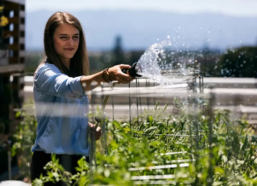 Watering roof garden