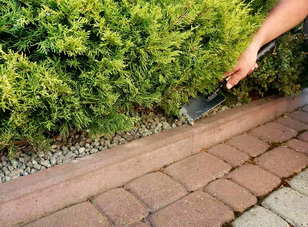 Easy and inexpensive garden paving ideas