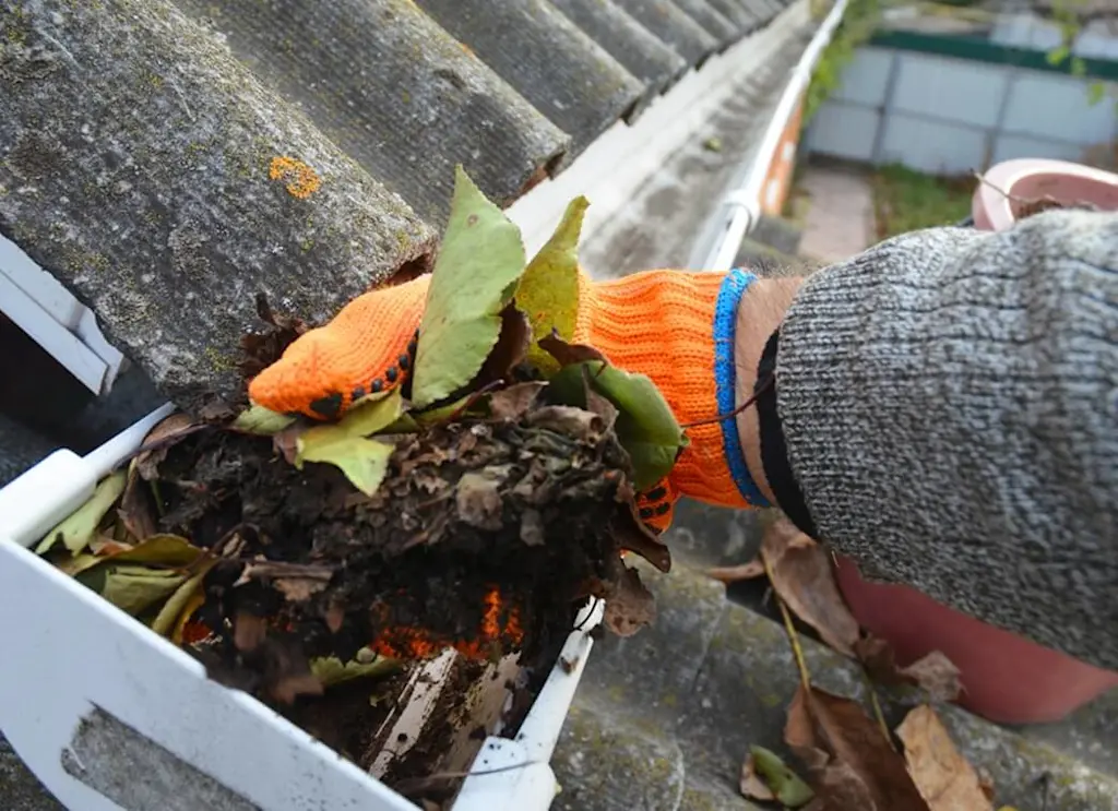 Skilled gutter cleaning services